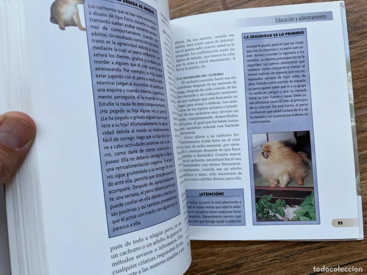 Libros de segunda mano: POMERANIA - SERIE RAZAS DE HOY - EXCELLENCE - Foto 4
