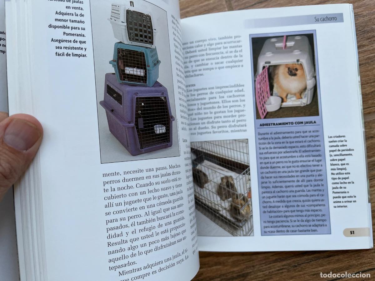 Libros de segunda mano: POMERANIA - SERIE RAZAS DE HOY - EXCELLENCE - Foto 7