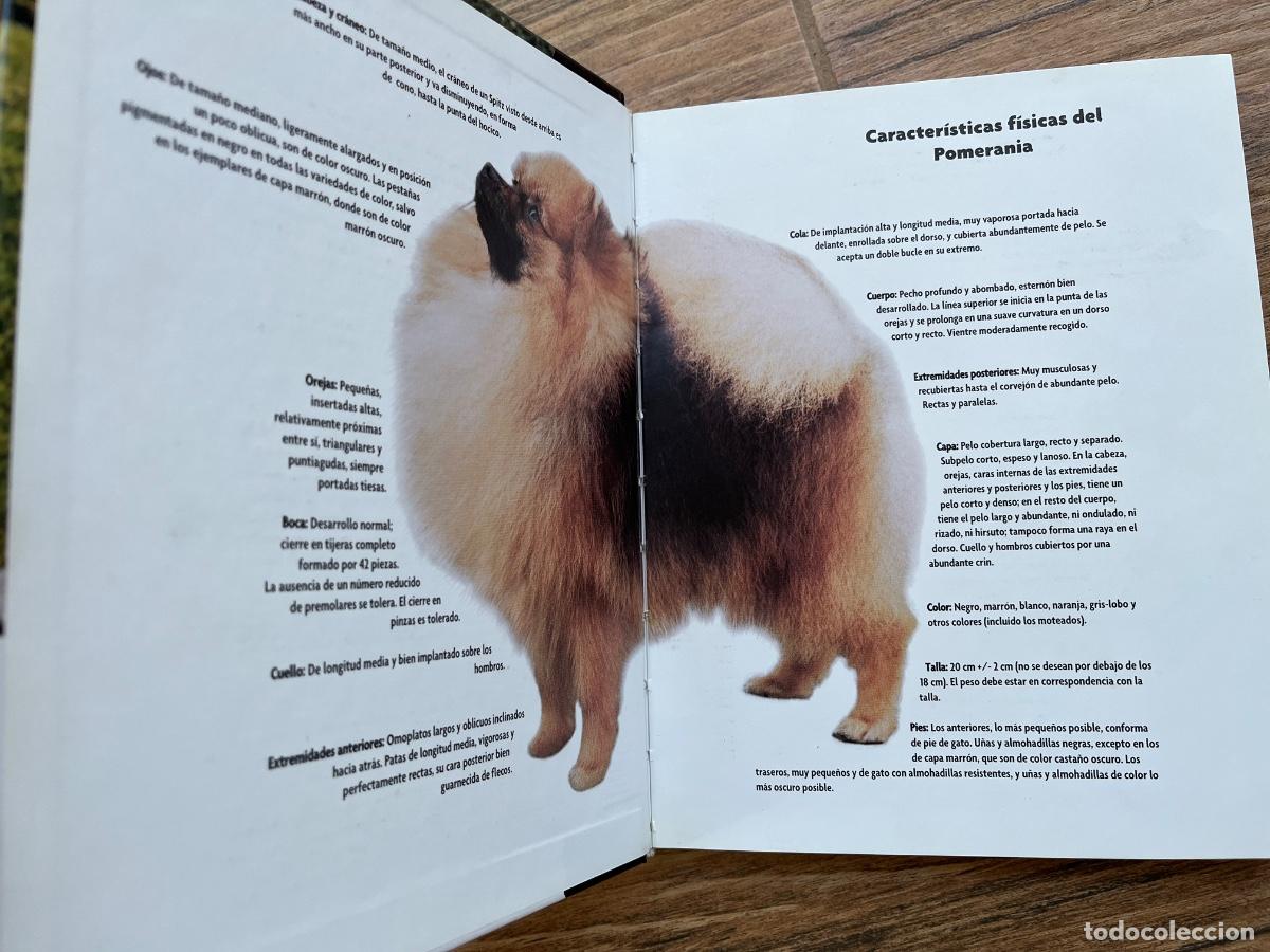 Libros de segunda mano: POMERANIA - SERIE RAZAS DE HOY - EXCELLENCE - Foto 10