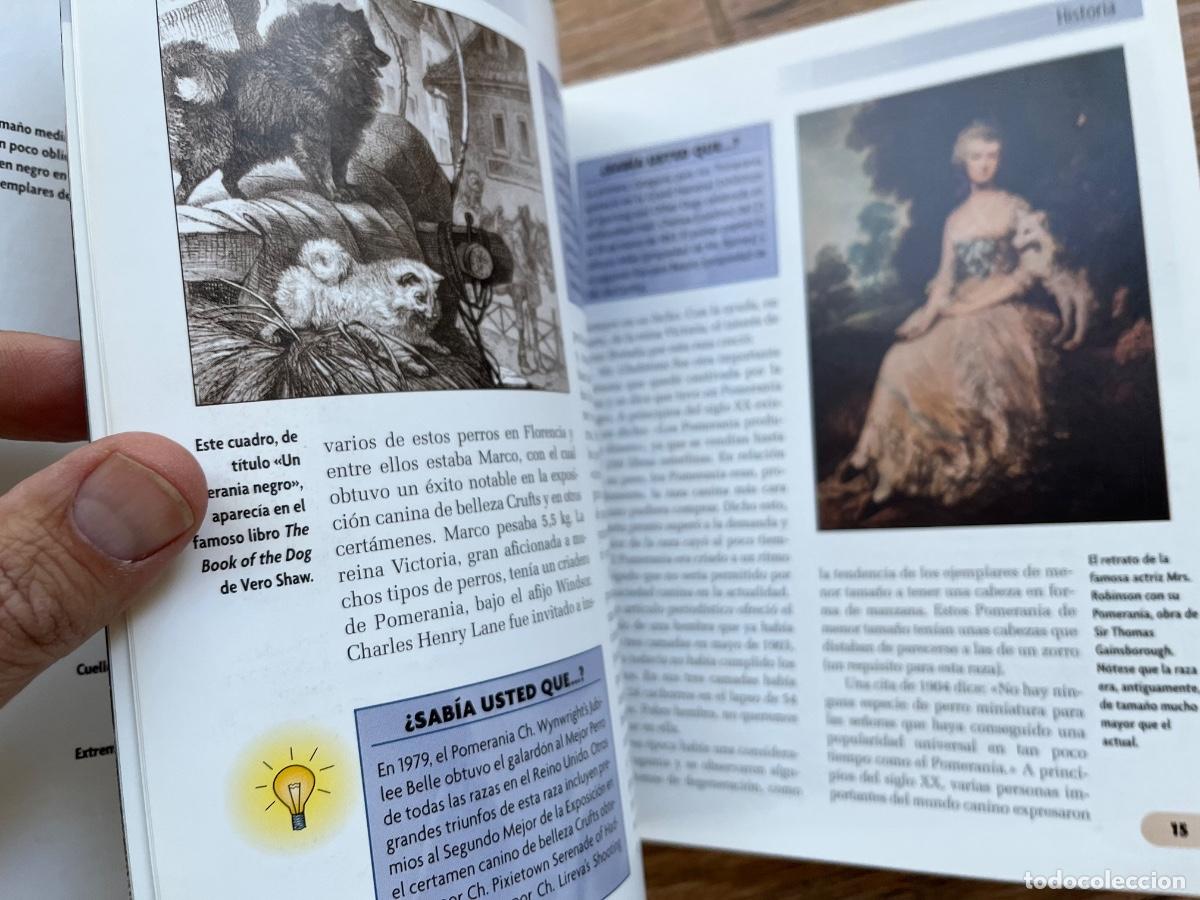 Libros de segunda mano: POMERANIA - SERIE RAZAS DE HOY - EXCELLENCE - Foto 11