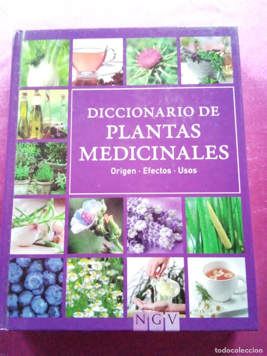 Libros de segunda mano: DICCIONARIO DE PLANTAS MEDICINALES.E P 2 1 - Foto 1