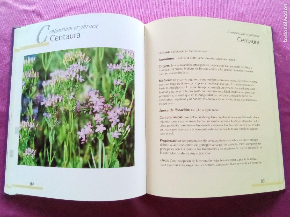 Libros de segunda mano: DICCIONARIO DE PLANTAS MEDICINALES.E P 2 1 - Foto 3
