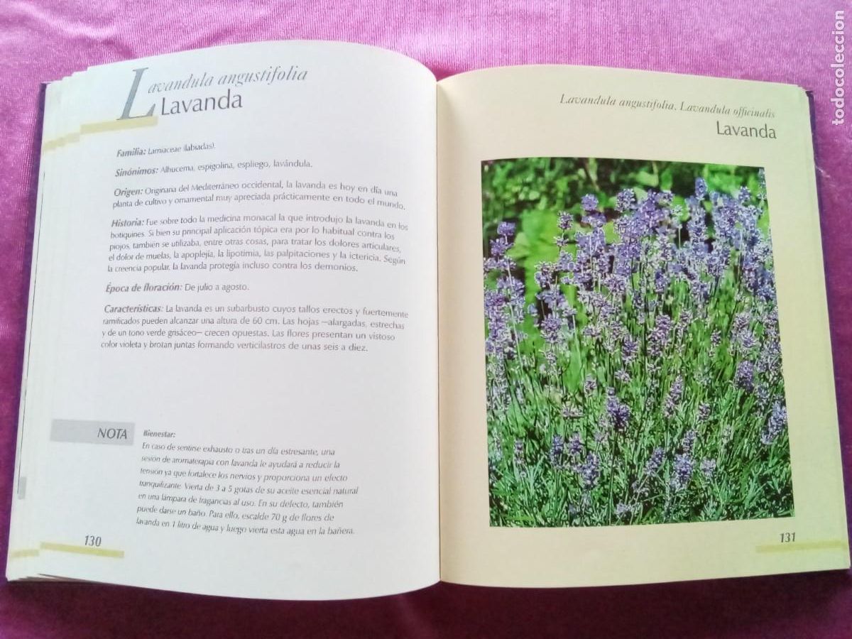 Libros de segunda mano: DICCIONARIO DE PLANTAS MEDICINALES.E P 2 1 - Foto 4