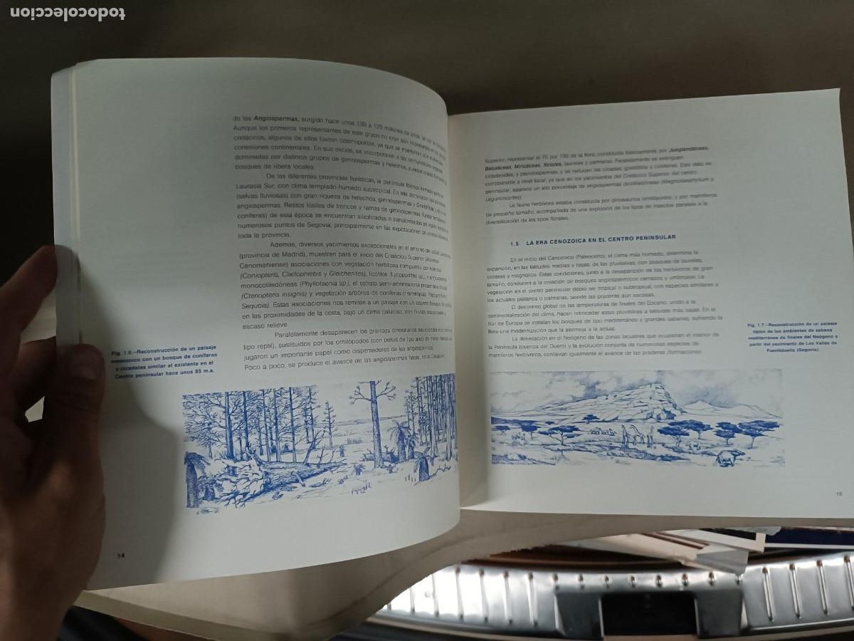 Libros de segunda mano: Paisajes vegetales de Segovia - - Foto 4