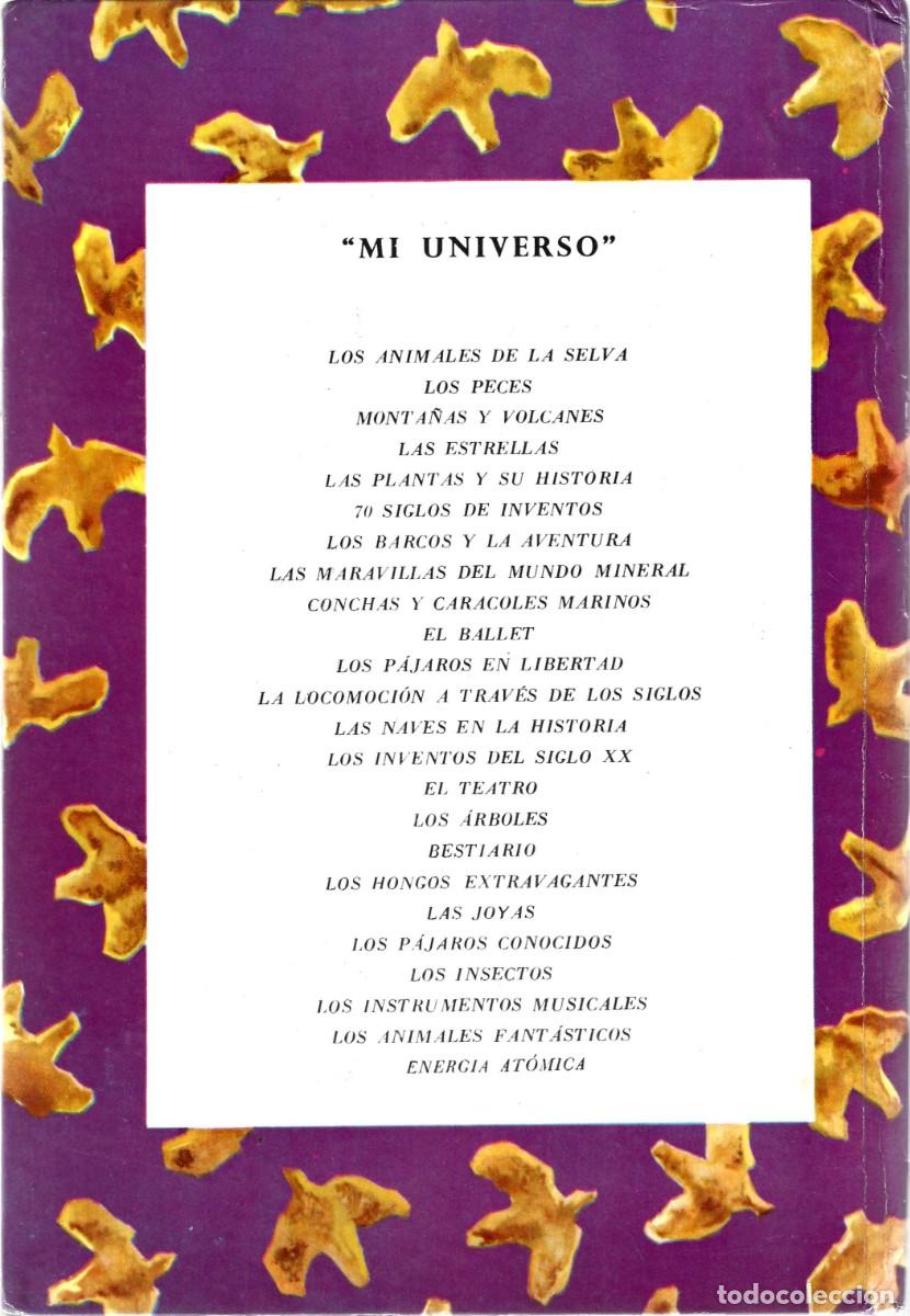 Libros de segunda mano: MI UNIVERSO LOS &Aacute;RBOLES TEXTO DE GALLUS - Foto 2