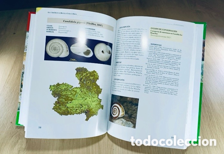 Libros de segunda mano: ATLAS Y LIBRO ROJO DE LOS MOLUSCOS DE CASTILLA-LA MANCHA - Foto 4
