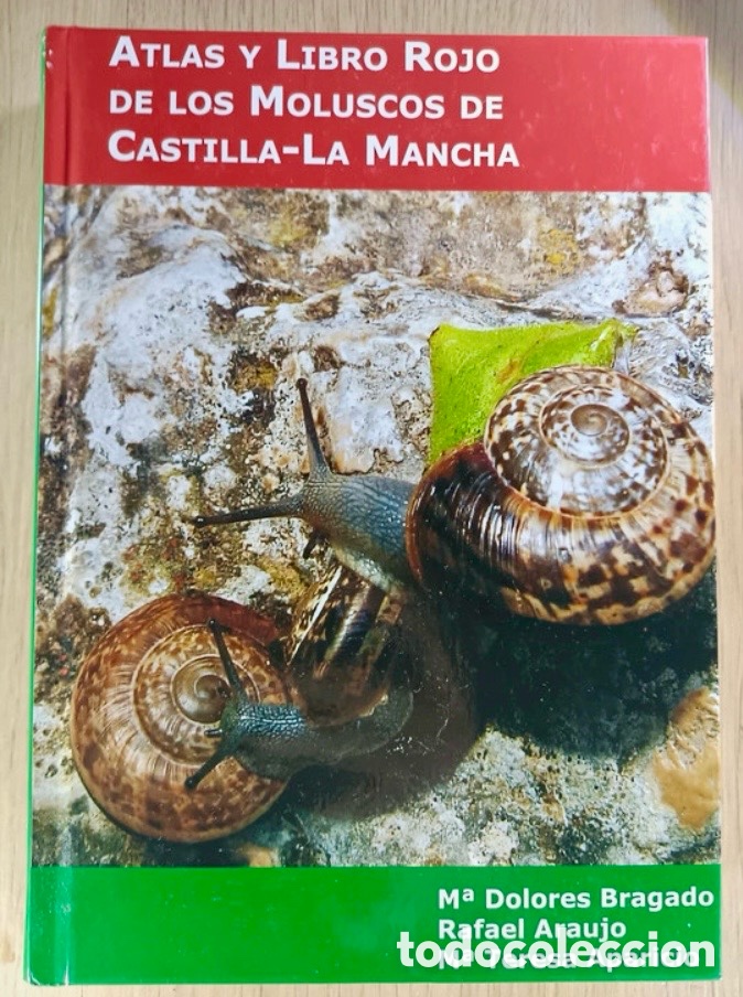 Libros de segunda mano: ATLAS Y LIBRO ROJO DE LOS MOLUSCOS DE CASTILLA-LA MANCHA - Foto 1
