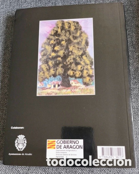 Libros de segunda mano: &Aacute;RBOLES SINGULARES DEL BAJO ARAG&Oacute;N. - Foto 2