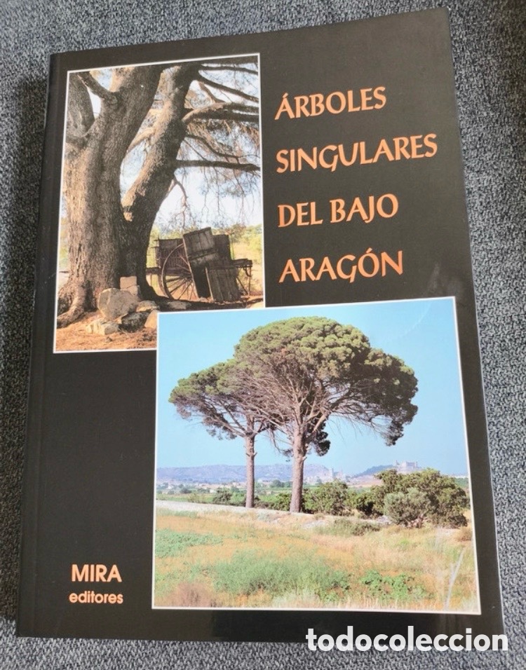 Libros de segunda mano: &Aacute;RBOLES SINGULARES DEL BAJO ARAG&Oacute;N. - Foto 1