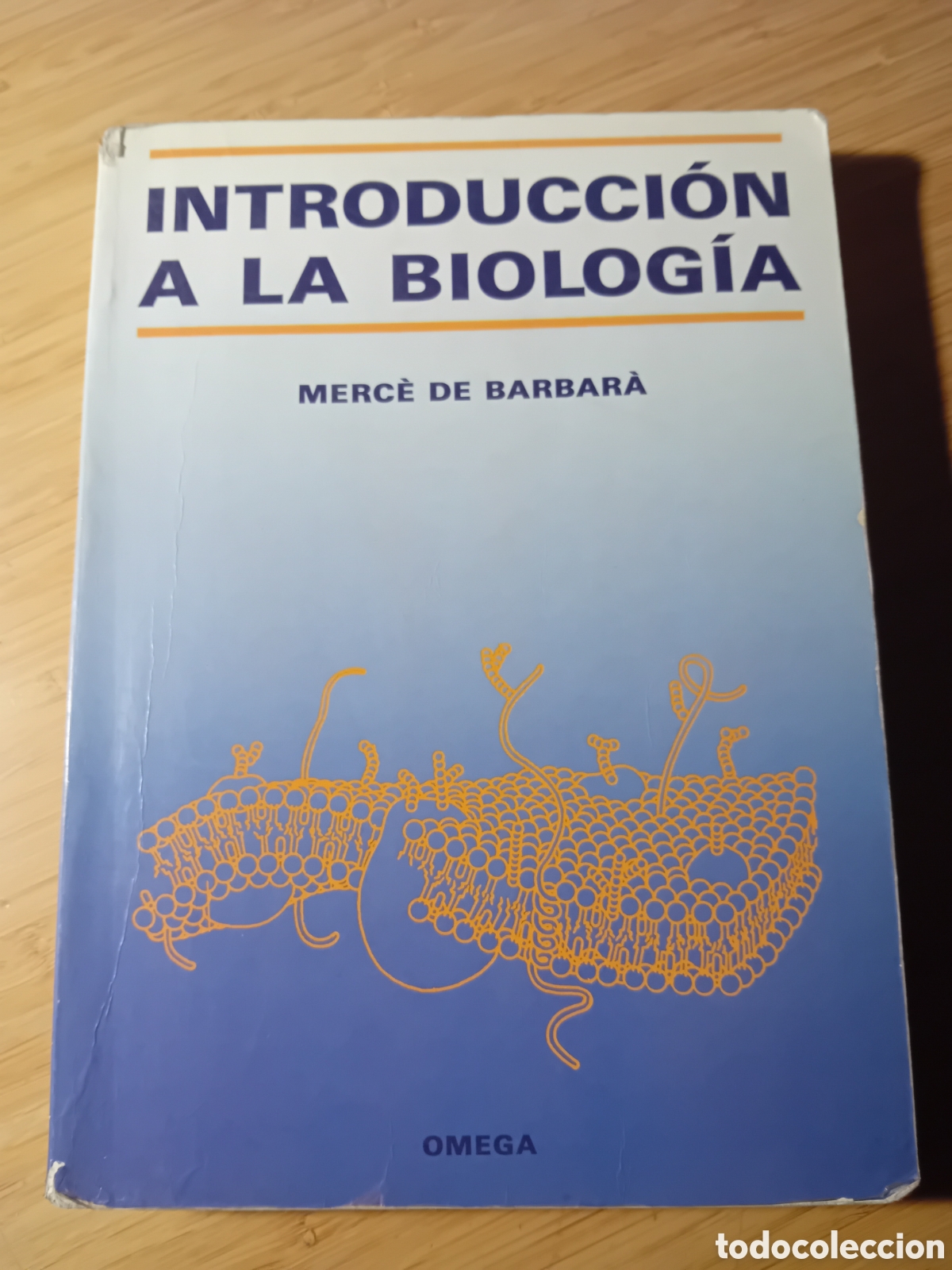 Libros de segunda mano: Introducci&oacute;n a la biolog&iacute;a - Merce de Barbar&aacute; (Omega 1989) - Foto 1