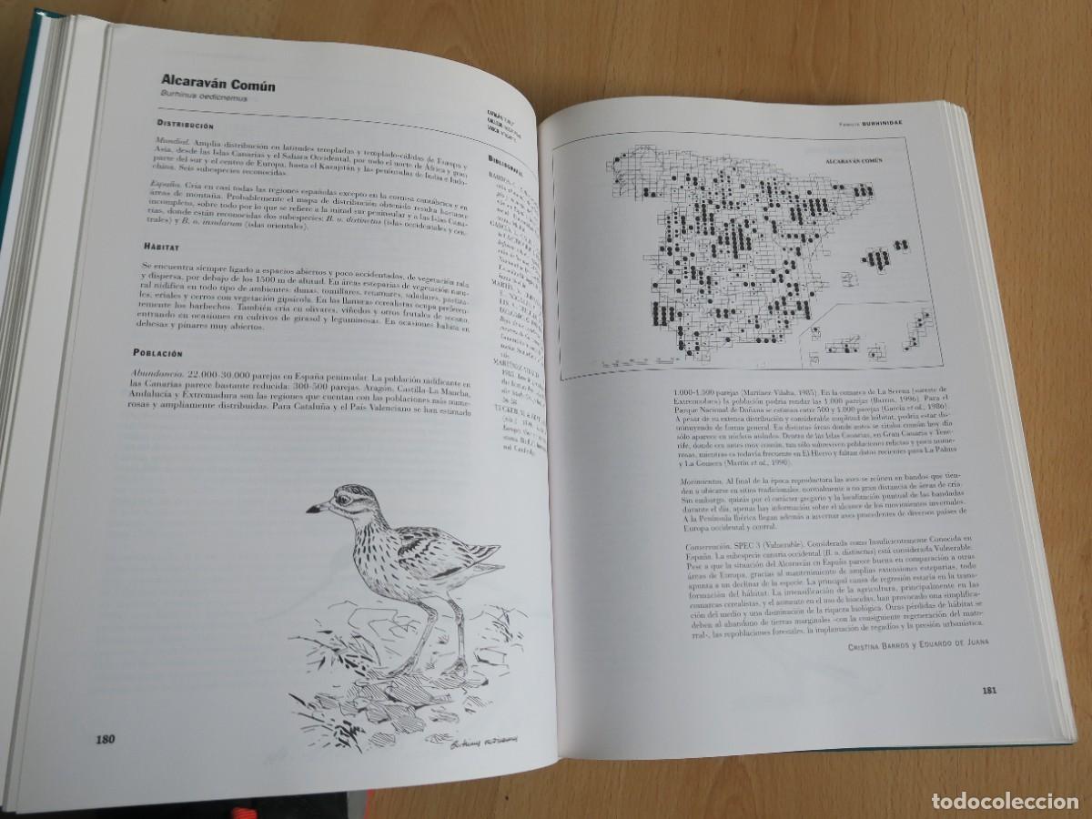 Libros de segunda mano: &Aacute;tlas De Las Aves De Espa&ntilde;a (1975-1995) - Foto 2