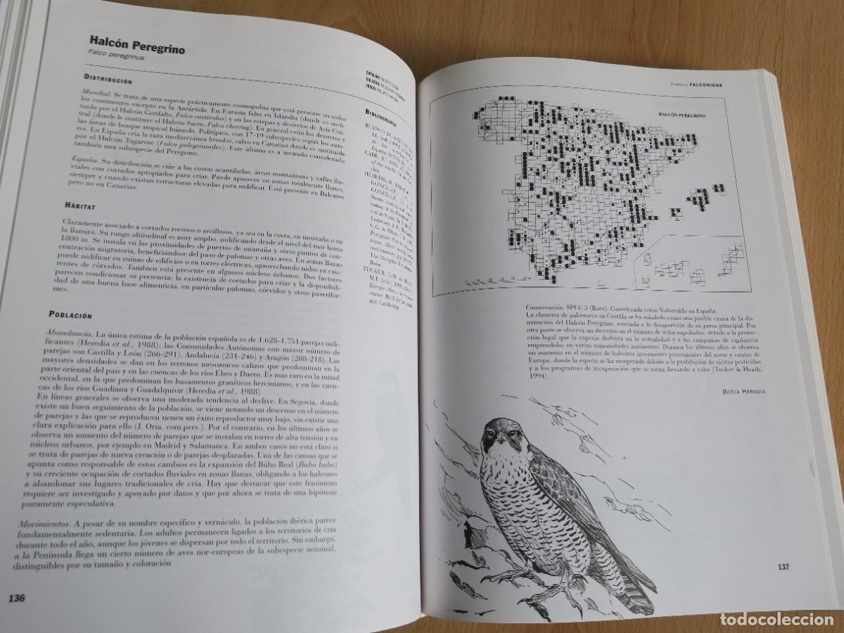 Libros de segunda mano: &Aacute;tlas De Las Aves De Espa&ntilde;a (1975-1995) - Foto 3