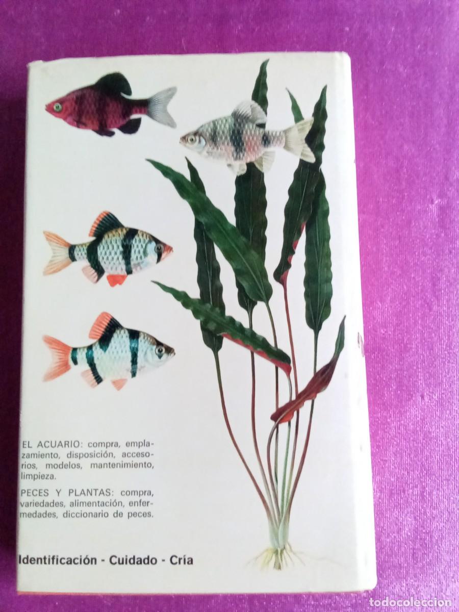 Libros de segunda mano: LOS PECES DE ACUARIO.ARNE SCHI&Ouml;TZ - PREBEN DAHLSTR&Ouml;M.E P 2 3 - Foto 3