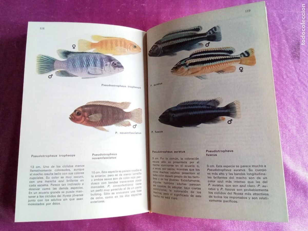 Libros de segunda mano: LOS PECES DE ACUARIO.ARNE SCHI&Ouml;TZ - PREBEN DAHLSTR&Ouml;M.E P 2 3 - Foto 4