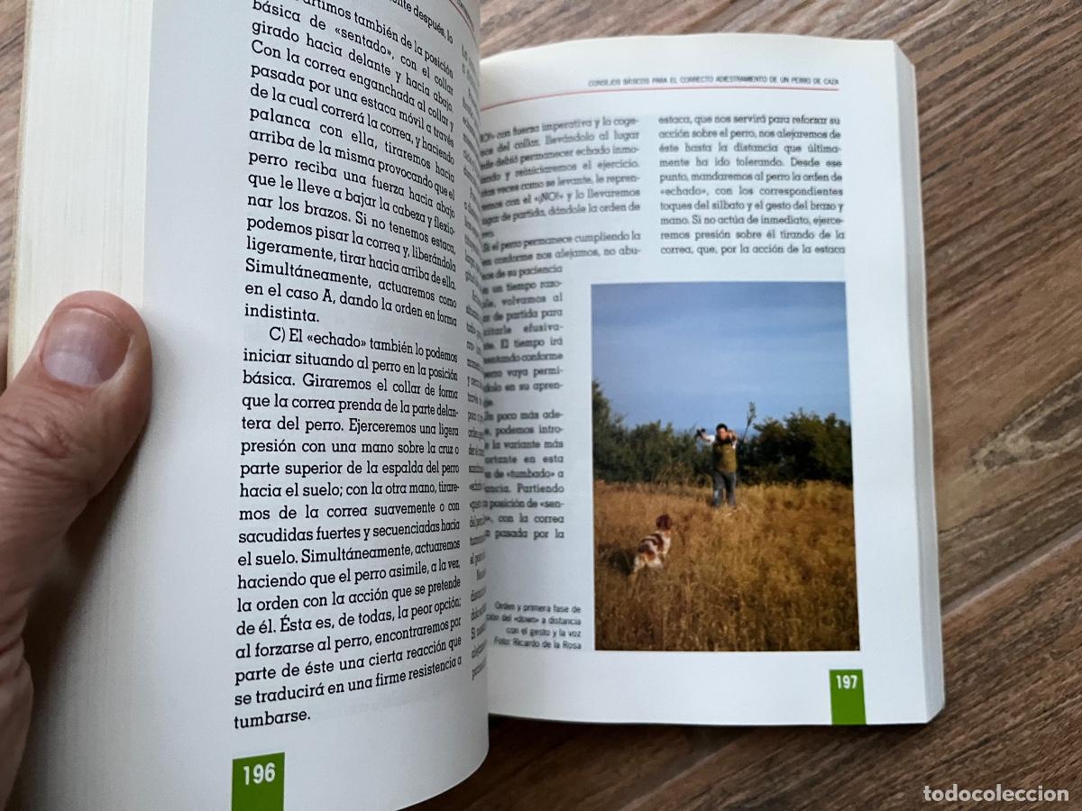Libros de segunda mano: EL GRAN LIBRO DEL EPAGNEUL BRET&Oacute;N - TIKAL - Foto 5