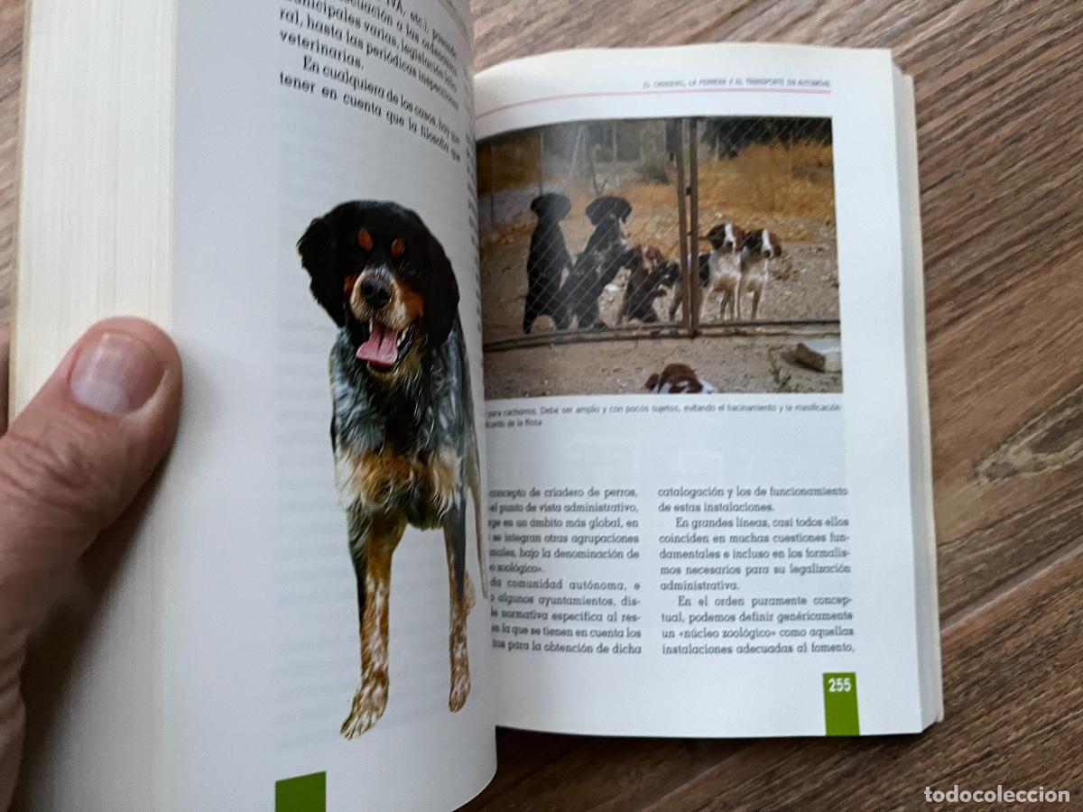 Libros de segunda mano: EL GRAN LIBRO DEL EPAGNEUL BRET&Oacute;N - TIKAL - Foto 6