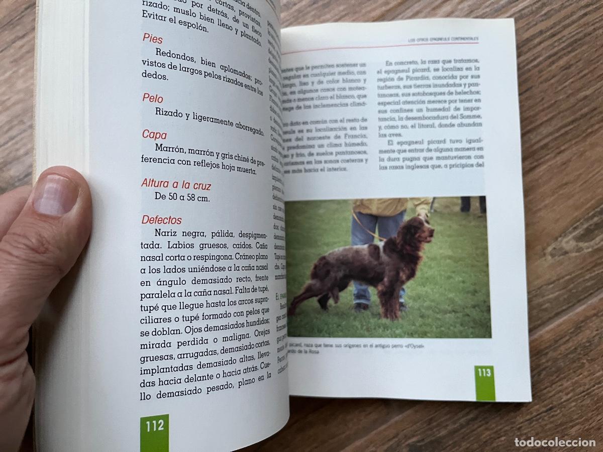 Libros de segunda mano: EL GRAN LIBRO DEL EPAGNEUL BRET&Oacute;N - TIKAL - Foto 8