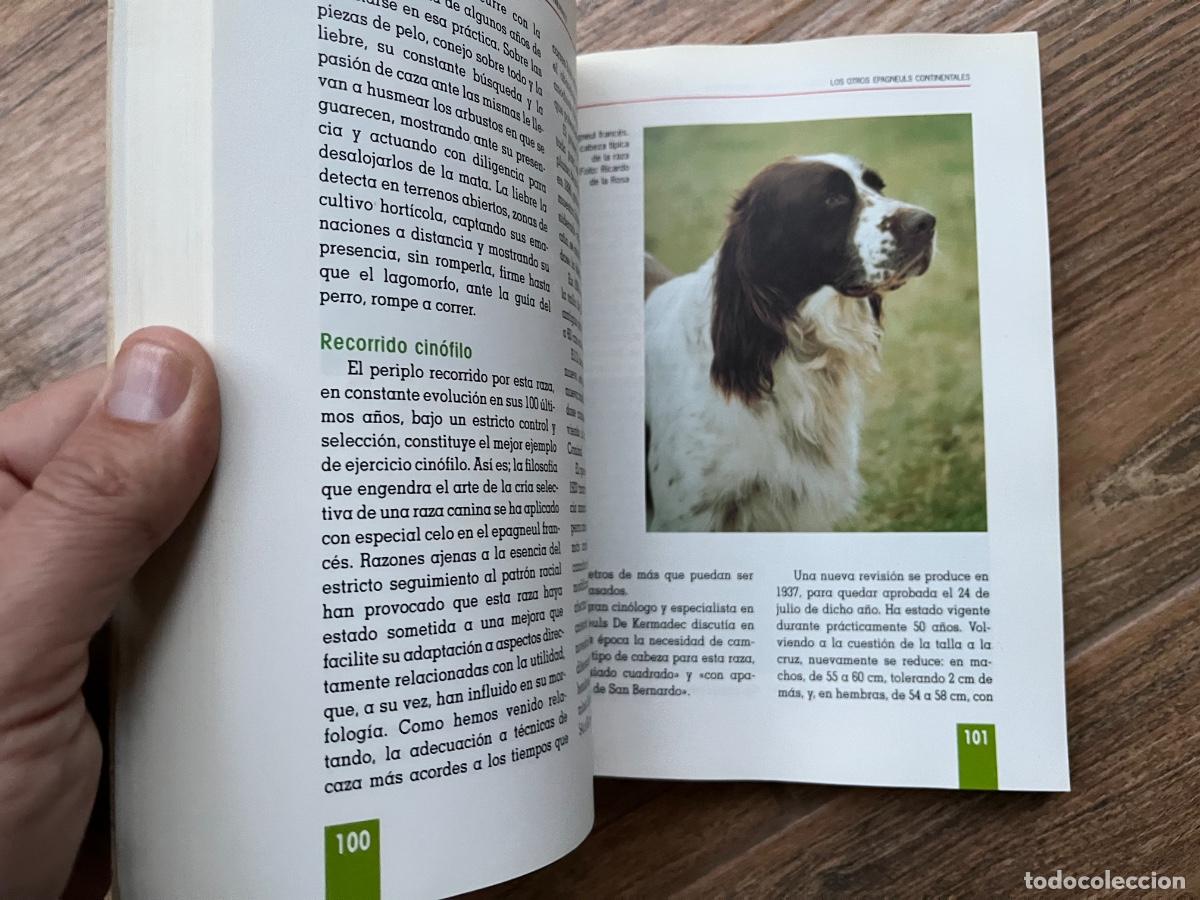 Libros de segunda mano: EL GRAN LIBRO DEL EPAGNEUL BRET&Oacute;N - TIKAL - Foto 9
