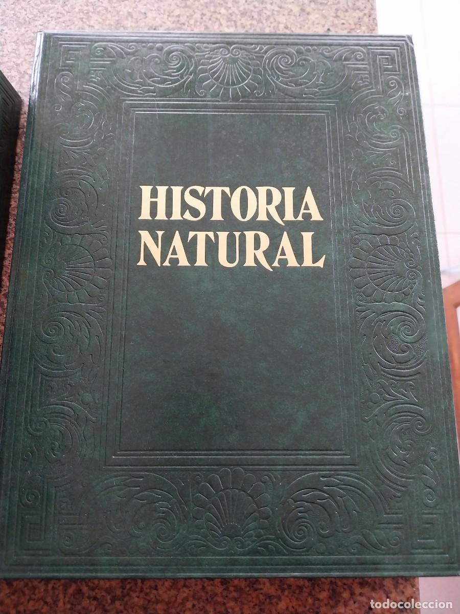 Libros de segunda mano: HISTORIA NATURAL -- 6 TOMOS -- INSTITUTO GALLACH -- - Foto 2