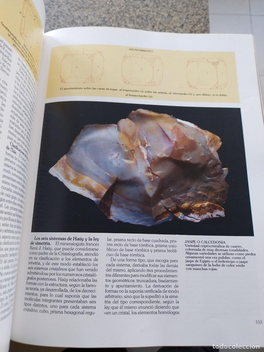Libros de segunda mano: HISTORIA NATURAL -- 6 TOMOS -- INSTITUTO GALLACH -- - Foto 4
