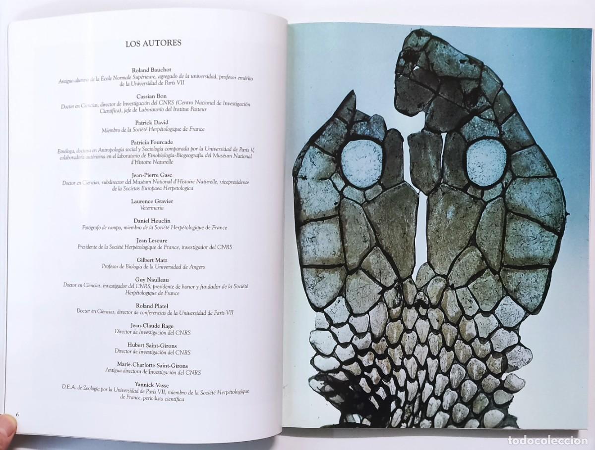 Libros de segunda mano: SERPIENTES. TIKAL EDICIONES. - Foto 3