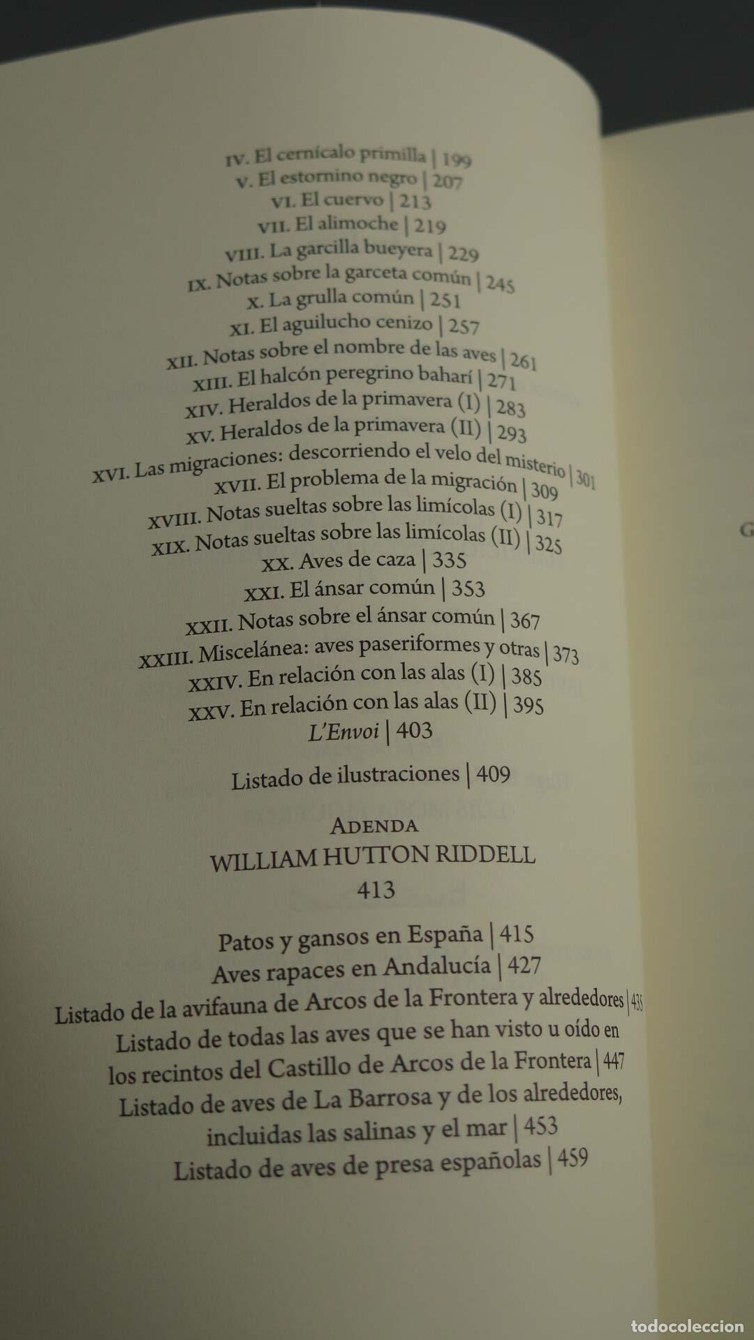 Libros de segunda mano: AVES DESDE UN CASTILLO EN EL SUR DE ESPA&Ntilde;A. HUTTON RIDDELL, WILLIAM. - Foto 3
