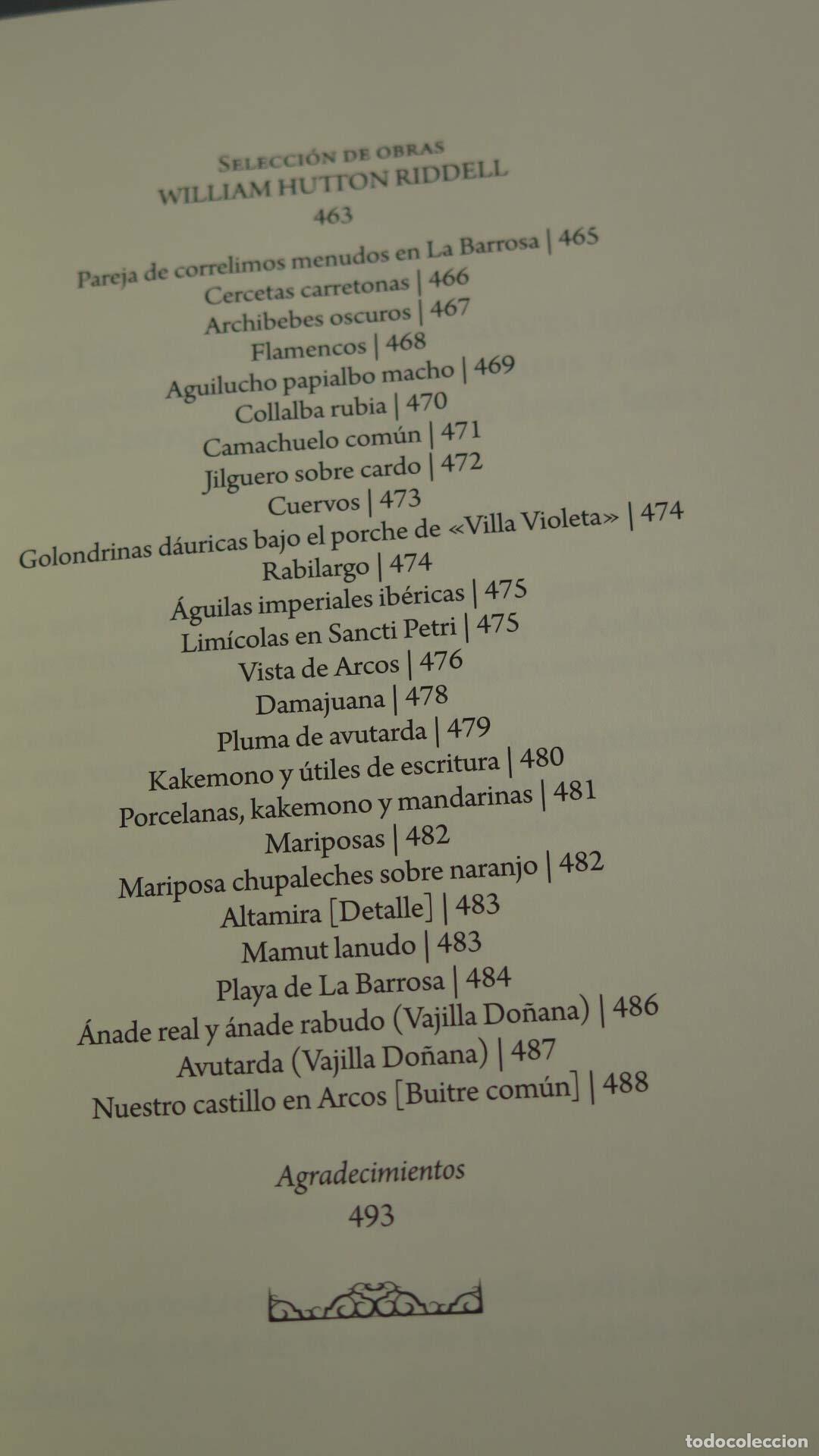 Libros de segunda mano: AVES DESDE UN CASTILLO EN EL SUR DE ESPA&Ntilde;A. HUTTON RIDDELL, WILLIAM. - Foto 4