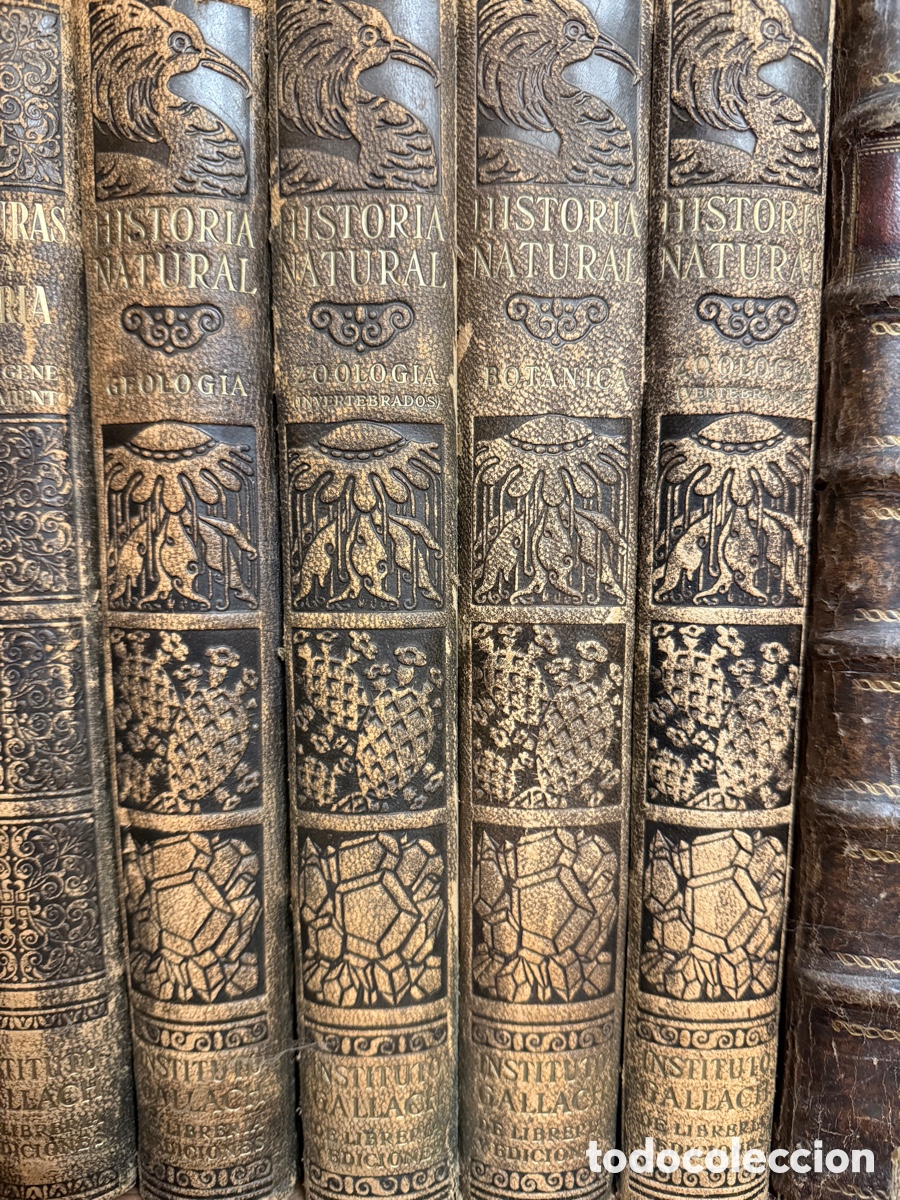 Libros de segunda mano: Historia natural de Gallach - Foto 1