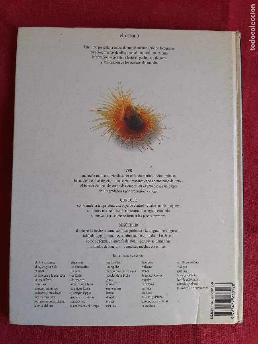 Libros de segunda mano: El Oc&eacute;ano - Macquitty, Miranda - Foto 2