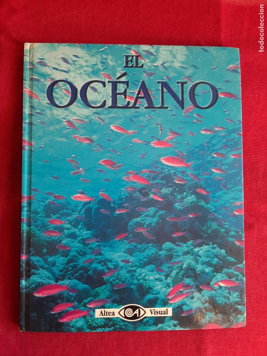 Libros de segunda mano: El Oc&eacute;ano - Macquitty, Miranda - Foto 1