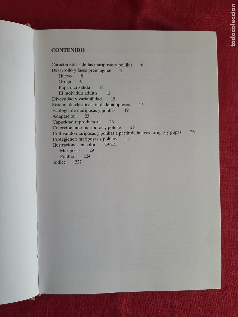 Libros de segunda mano: Mariposas - Nov&aacute;k, Ivo - Foto 4