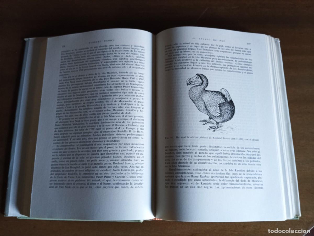Libros de segunda mano: El legado de No&eacute;.- Herbert Wendt. - Foto 3