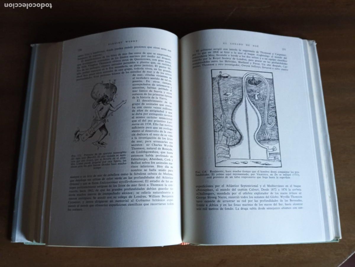 Libros de segunda mano: El legado de No&eacute;.- Herbert Wendt. - Foto 4