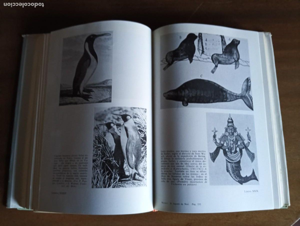 Libros de segunda mano: El legado de No&eacute;.- Herbert Wendt. - Foto 5