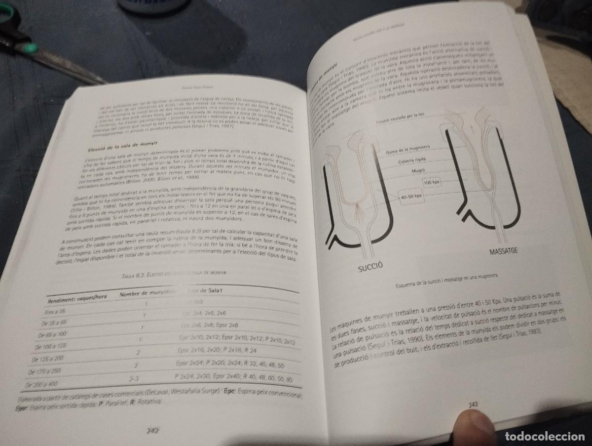 Libros de segunda mano: LEXPLOTACIO DE VAQUES DE LLET FACTORS DE PRODUCCIO COMUNICACIO INNOVACIO ANTONI SEGUI PARPAL 2009 - Foto 9