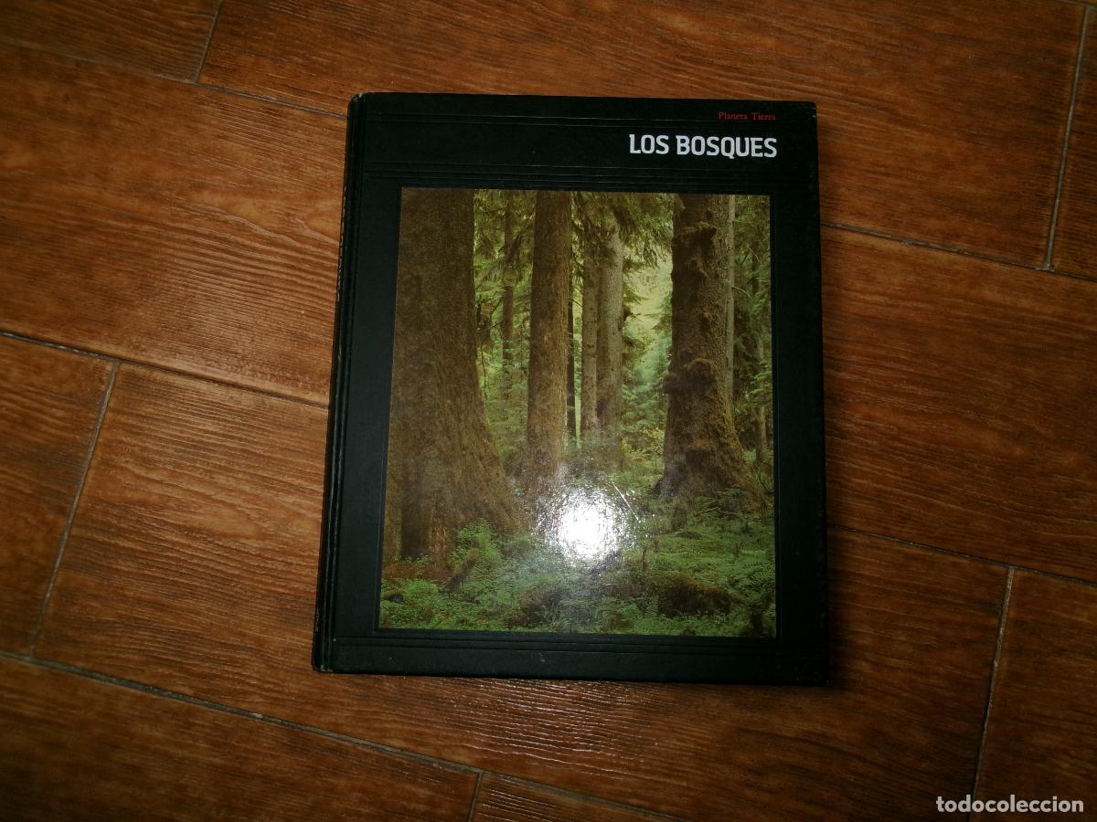 Libros de segunda mano: Los bosques. Planeta Tierra. PAGE JAKE - Foto 1