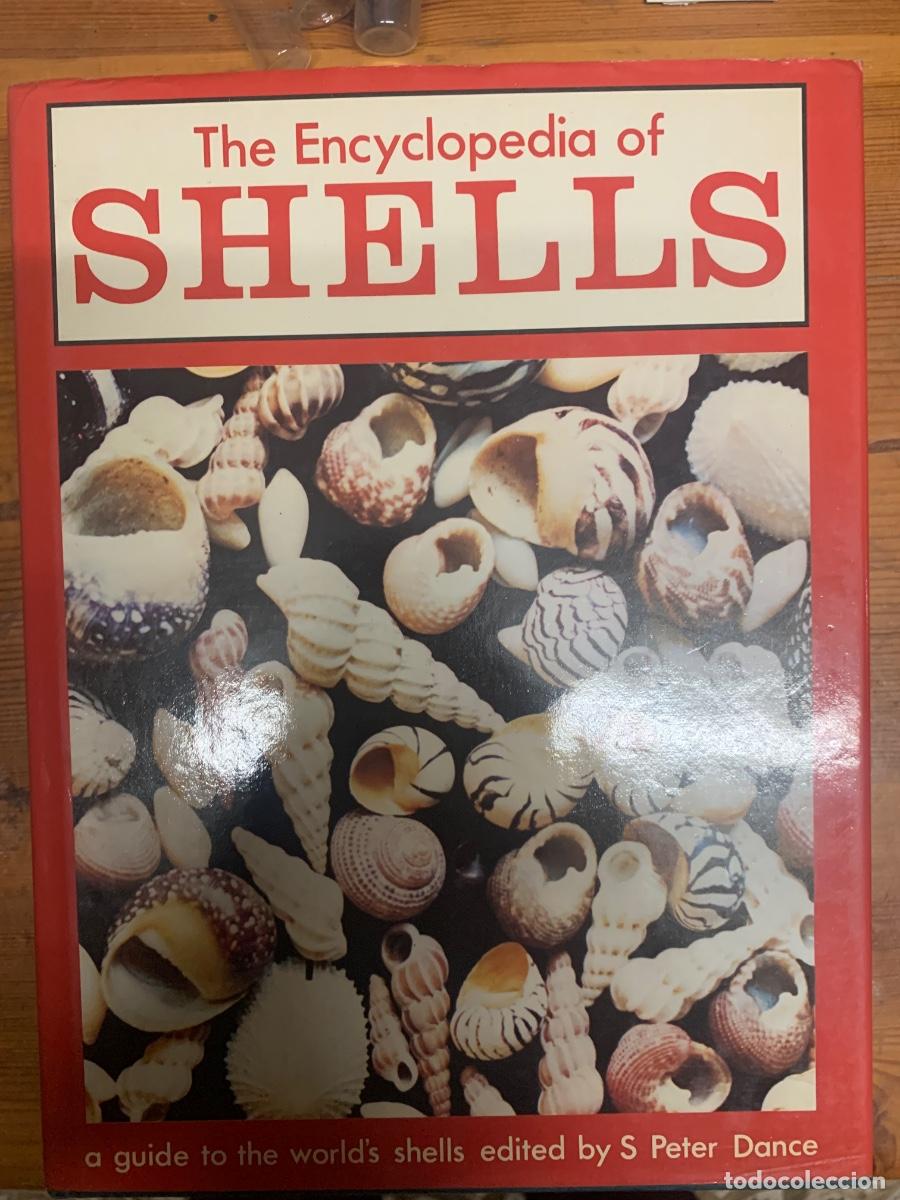 Libros de segunda mano: The Encyclopedia of Shells - Foto 1