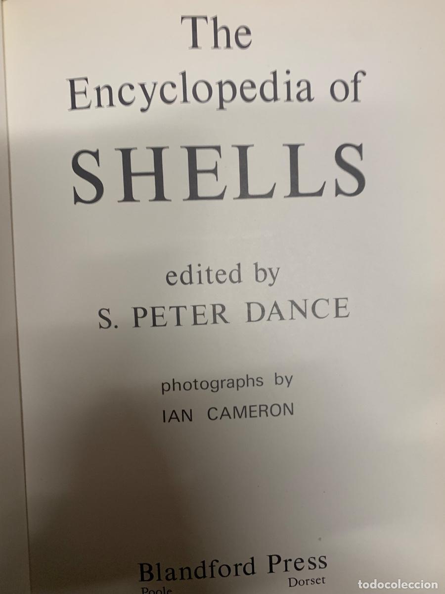 Libros de segunda mano: The Encyclopedia of Shells - Foto 2