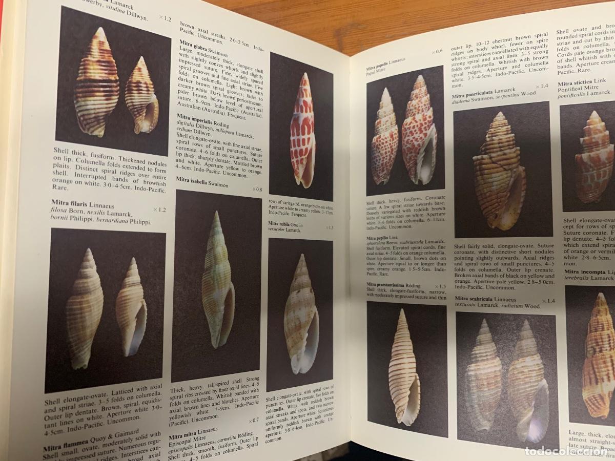 Libros de segunda mano: The Encyclopedia of Shells - Foto 5