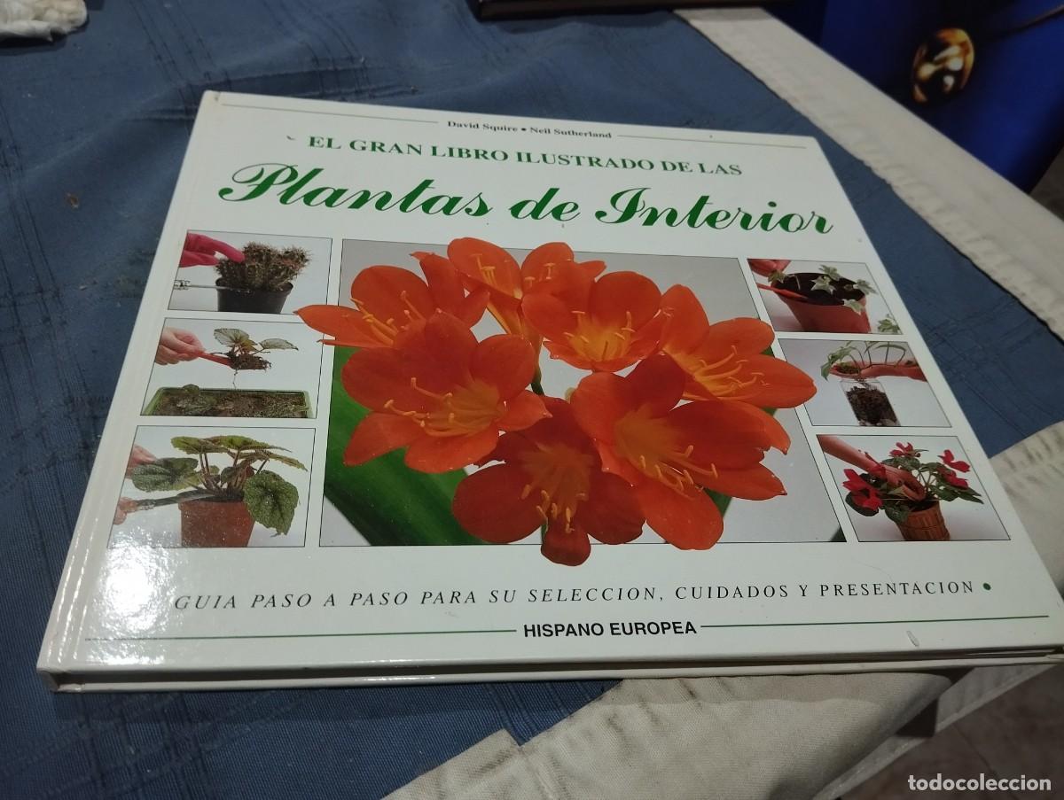 Libros de segunda mano: EL GRAN LIBRO ILUSTRADO DE LAS PLANTAS DE INTERIOR. DAVID SQUIRE. NEIL SUTHERLAND. EDITORIAL HISPANO - Foto 1