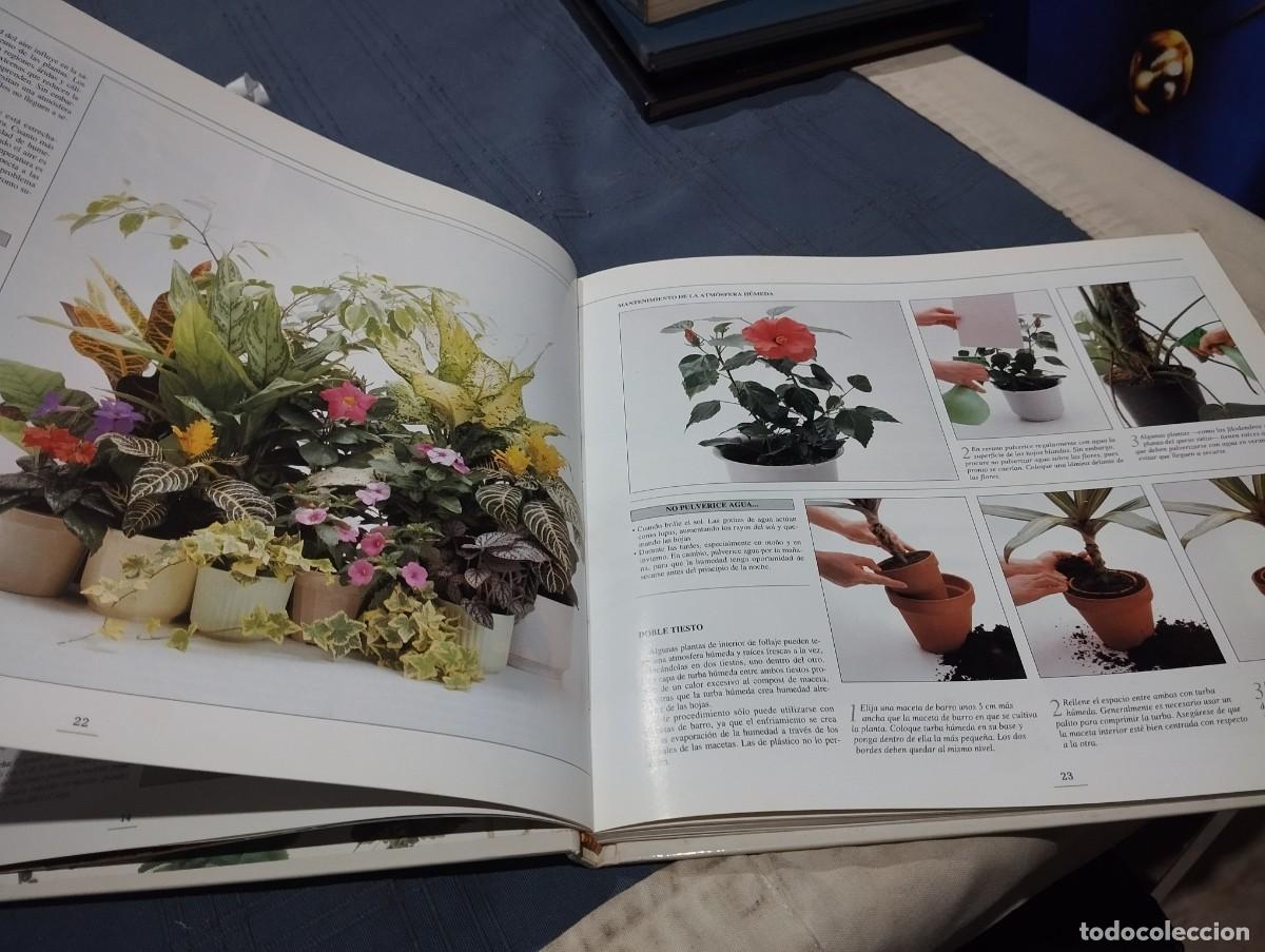 Libros de segunda mano: EL GRAN LIBRO ILUSTRADO DE LAS PLANTAS DE INTERIOR. DAVID SQUIRE. NEIL SUTHERLAND. EDITORIAL HISPANO - Foto 2
