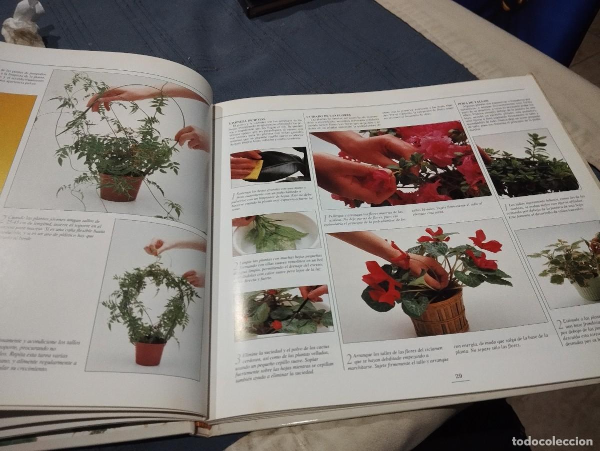 Libros de segunda mano: EL GRAN LIBRO ILUSTRADO DE LAS PLANTAS DE INTERIOR. DAVID SQUIRE. NEIL SUTHERLAND. EDITORIAL HISPANO - Foto 3