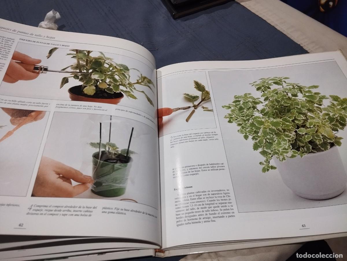 Libros de segunda mano: EL GRAN LIBRO ILUSTRADO DE LAS PLANTAS DE INTERIOR. DAVID SQUIRE. NEIL SUTHERLAND. EDITORIAL HISPANO - Foto 4
