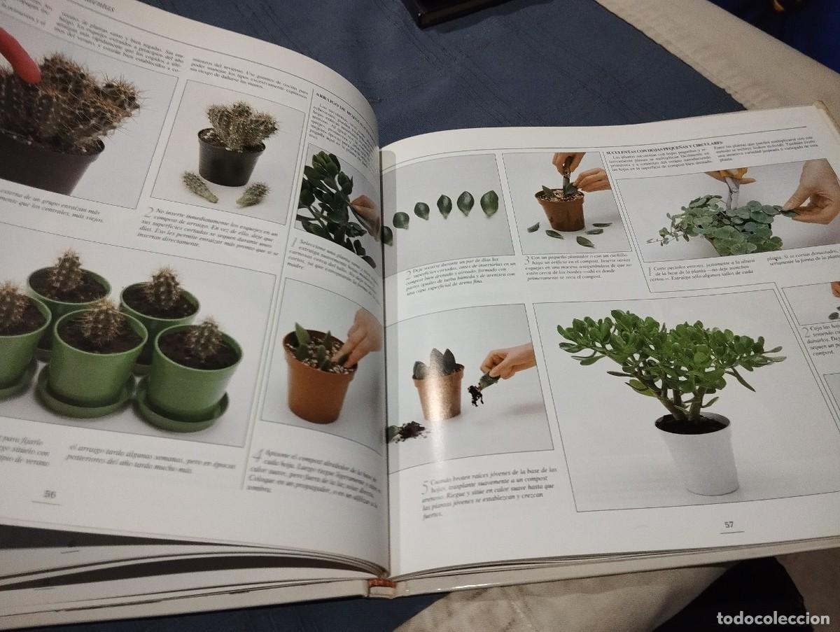 Libros de segunda mano: EL GRAN LIBRO ILUSTRADO DE LAS PLANTAS DE INTERIOR. DAVID SQUIRE. NEIL SUTHERLAND. EDITORIAL HISPANO - Foto 5