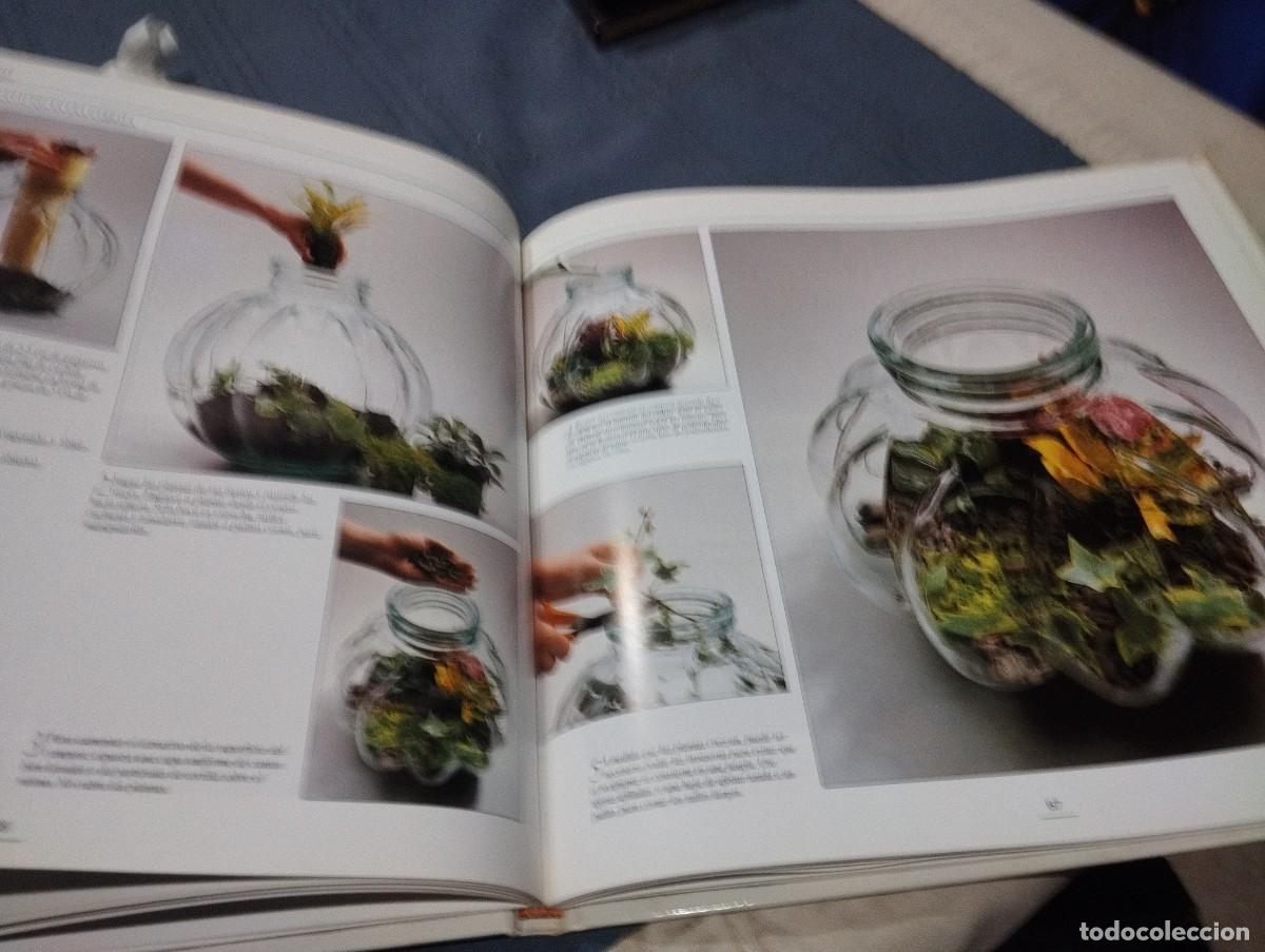Libros de segunda mano: EL GRAN LIBRO ILUSTRADO DE LAS PLANTAS DE INTERIOR. DAVID SQUIRE. NEIL SUTHERLAND. EDITORIAL HISPANO - Foto 6