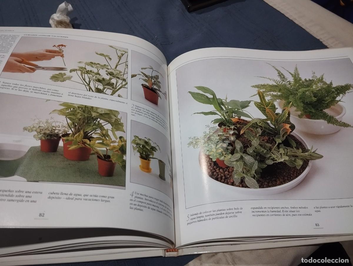 Libros de segunda mano: EL GRAN LIBRO ILUSTRADO DE LAS PLANTAS DE INTERIOR. DAVID SQUIRE. NEIL SUTHERLAND. EDITORIAL HISPANO - Foto 7