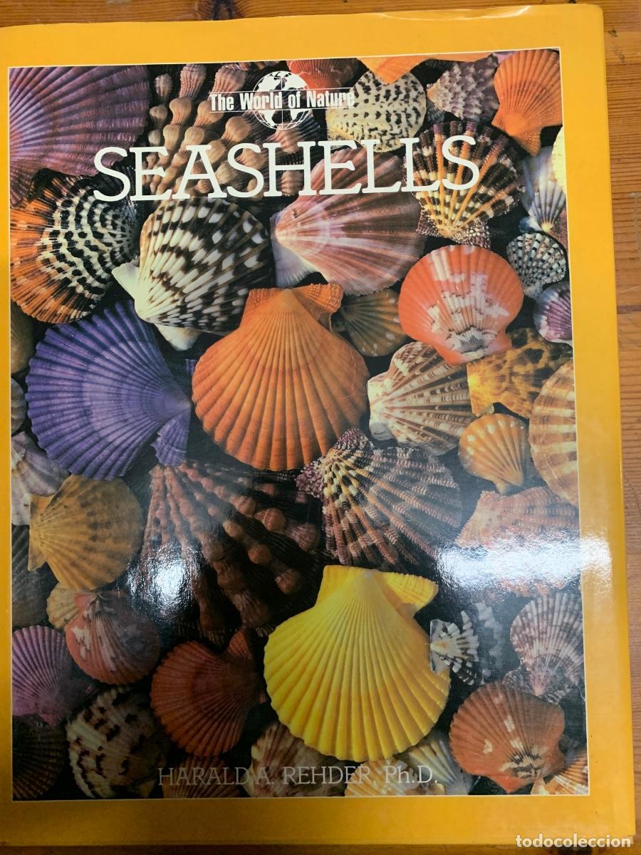 Libros de segunda mano: Seashells (Conchas) libro en ingl&eacute;s - Foto 1