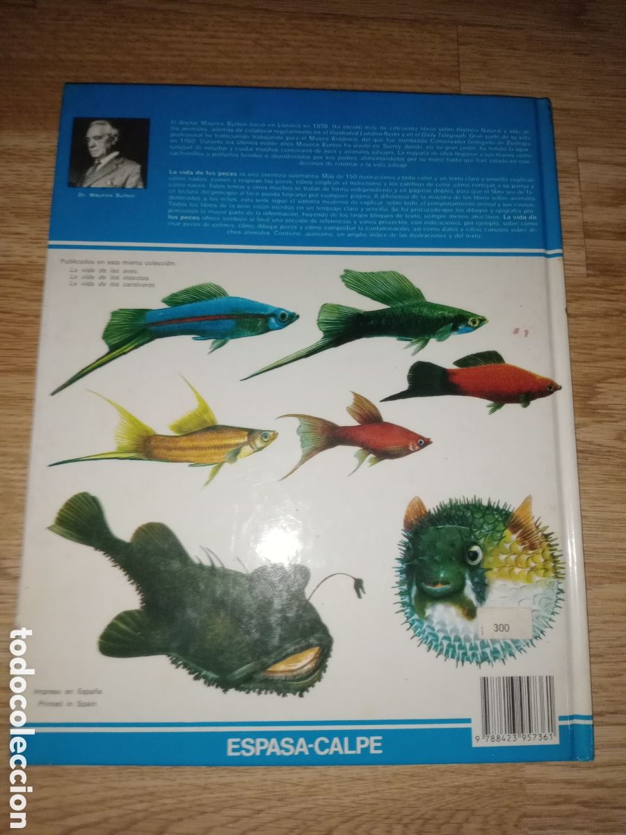 Libros de segunda mano: Toreteblanco la vida de los peces maurice burton - Foto 2