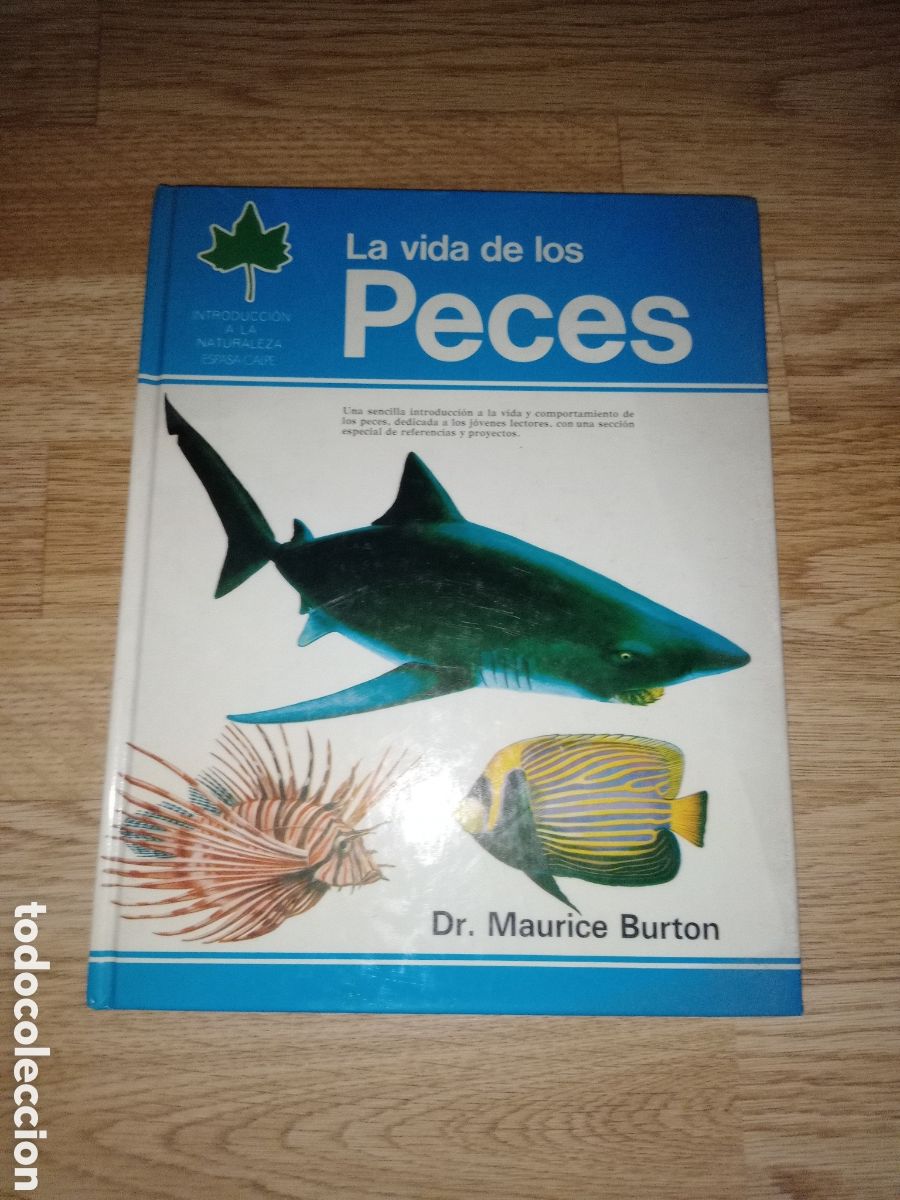 Libros de segunda mano: Toreteblanco la vida de los peces maurice burton - Foto 1