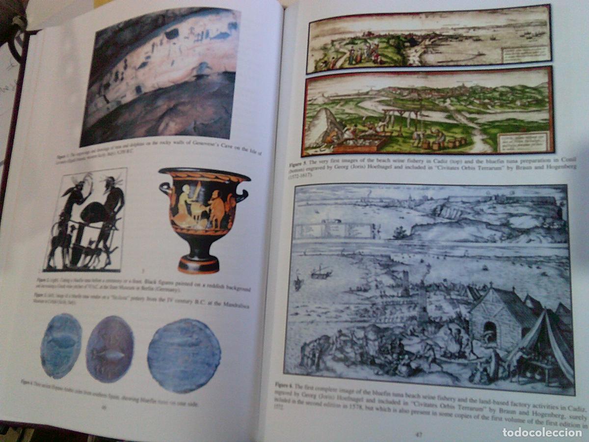 Libros de segunda mano: Colecci&oacute;n de documentos cientificos Comisi&oacute;n internacional para la conservaci&oacute;n del at&uacute;n - Foto 2